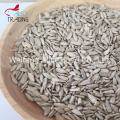 China Wholesale Cheap Price Bakery Grade & Confectionary Grade Sunflower Seeds Kernels